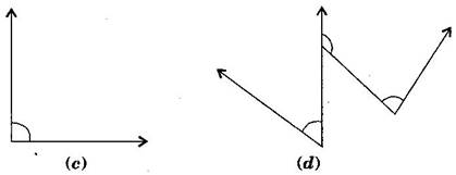 NCERT Solutions Class 6 Mathematics Understanding Elementary