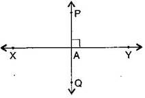 NCERT Solutions Class 6 Mathematics Understanding Elementary