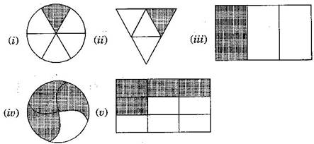 NCERT Solutions Class 6 Mathematics Fractions