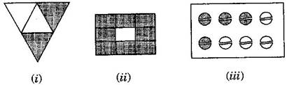 NCERT Solutions Class 6 Mathematics Fractions