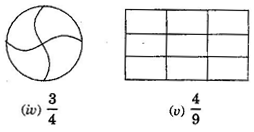 NCERT Solutions Class 6 Mathematics Fractions