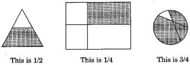 NCERT Solutions Class 6 Mathematics Fractions