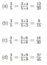 NCERT Solutions Class 6 Mathematics Fractions