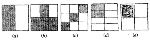 NCERT Solutions Class 6 Mathematics Fractions