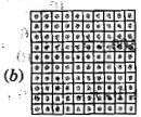 NCERT Solutions Class 6 Mathematics Decimals