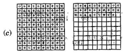 NCERT Solutions Class 6 Mathematics Decimals