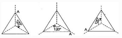 NCERT Solutions Class 7 Mathematics symmetry