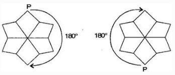 NCERT Solutions Class 7 Mathematics symmetry