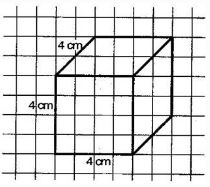 NCERT Solutions Class 7 Mathematics Visualizing Solid Shapes