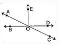 NCERT Solutions Class 7 Mathematics Lines and Angles