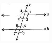 NCERT Solutions Class 7 Mathematics Lines and Angles