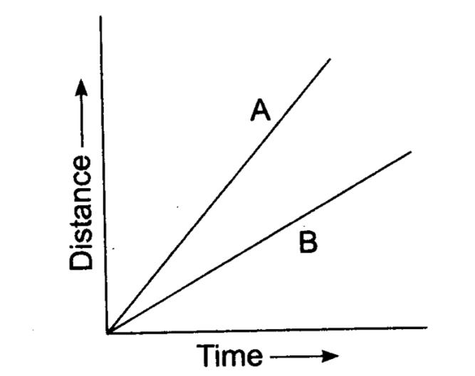 NCERT Solutions Class 7 Science Motion and Time