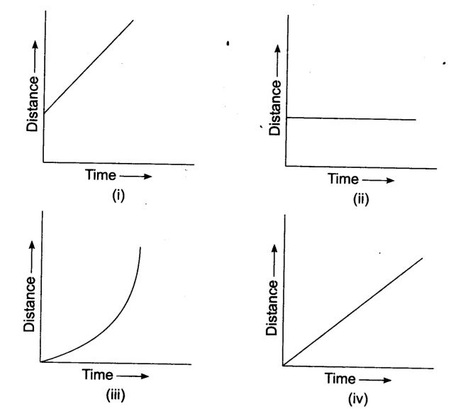 NCERT Solutions Class 7 Science Motion and Time