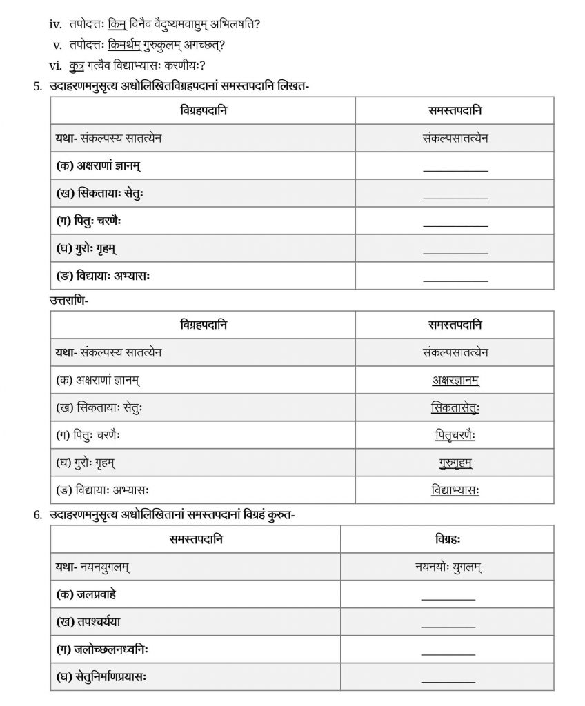 NCERT Solutions Class 9 Sanskrit Shemushi Sikatasetu