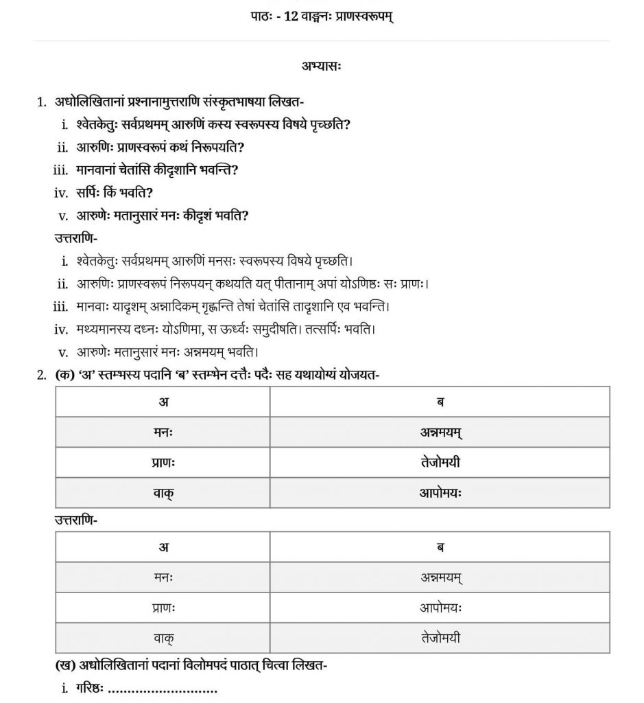 NCERT Solutions Class 9 Sanskrit Shemushi Banghman Pranswaroopam