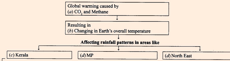 article on Global Warming