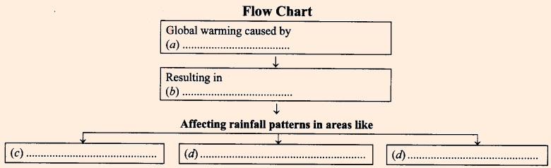 article on Global Warming