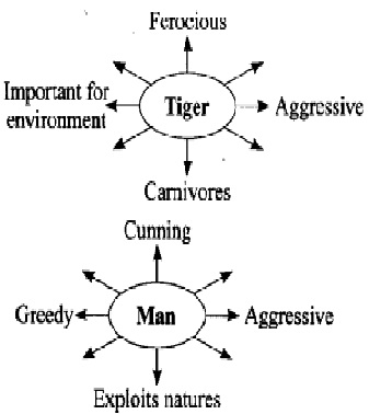 characteristics of the tiger and the man