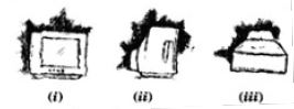 NCERT Solutions Class 8 Mathematics Visualising Solid Shapes