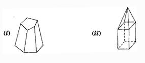 NCERT Solutions Class 8 Mathematics Visualising Solid Shapes