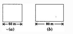 NCERT Solutions Class 8 Mathematics mensuration