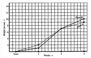 NCERT Solutions Class 8 Mathematics introduction to Graphs