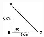 NCERT Solutions Class 8 Mathematics Squares and Square Roots