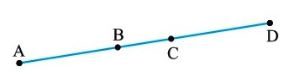 NCERT Solutions Class 10 Mathematics introduction to Euclids Geometry