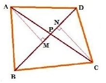 NCERT Solutions Class 9 Mathematics Areas of Parallelograms and Triangles