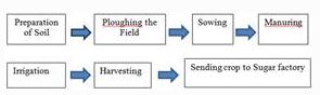 NCERT Solutions Class 8 science crop production and management