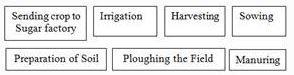 NCERT Solutions Class 8 science crop production and management