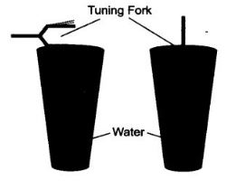 NCERT Solutions Class 9 Science sound