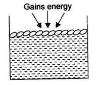 NCERT Solutions Class 9 Science Matter in Our Surroundings