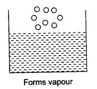 NCERT Solutions Class 9 Science Matter in Our Surroundings