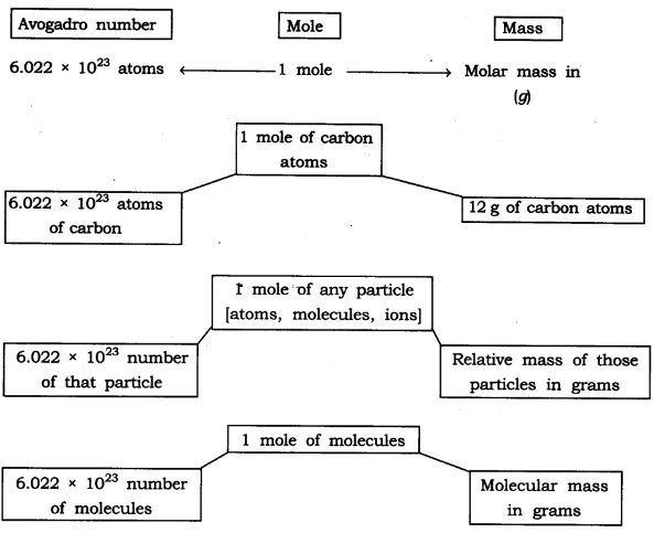 NCERT Solutions Class 9 Science Atoms and Molecules