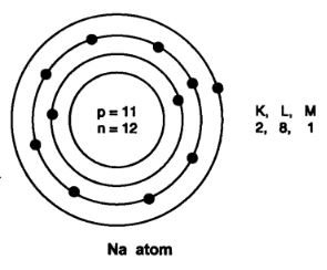 NCERT Solutions Class 9 Science Structure of Atom