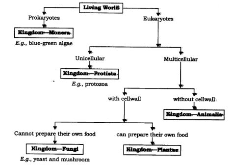 NCERT Solutions Class 9 Science Tissues