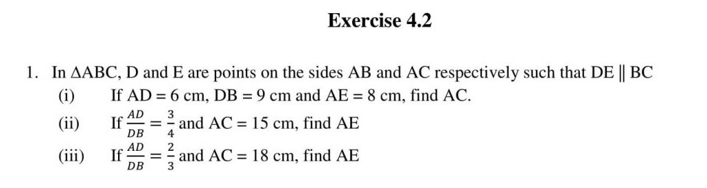 NCERT Solutions Class 10 Mathematics RD Sharma Triangles