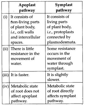 Differences between Differences between apoplast pathway and symplast pathway