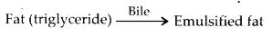 Bile juice contains no digestive enzymes