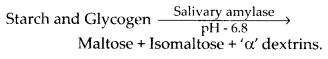 polysaccharides and disaccharides digested