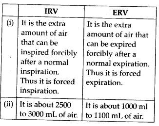 Differences between IRV and ERV