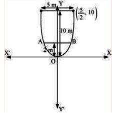 NCERT Solutions Class 11 Mathematics Conic Sections