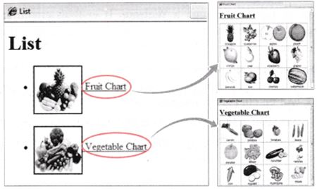 NCERT Solutions Class 10 Social Science Information Technology inserting images and links in HTML