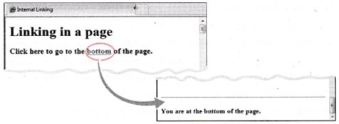 NCERT Solutions Class 10 Social Science Information Technology inserting images and links in HTML