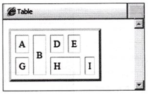 NCERT Solutions Class 10 Social Science Information Technology inserting table in HTML