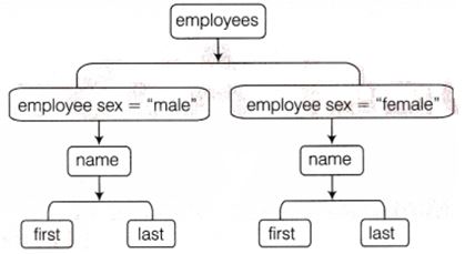 NCERT Solutions Class 10 Social Science Information Technology introduction to Sxml