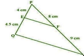 NCERT Solutions Class 10 Mathematics Triangles