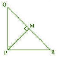 NCERT Solutions Class 10 Mathematics Triangles