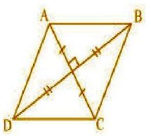 NCERT Solutions Class 10 Mathematics Triangles